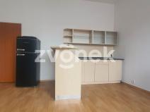 Pronájem bytu 1+kk, Zlín, Dlouhá, 25 m2