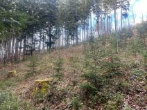 Prodej lesa, Liptál, 42190 m2