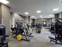 Prodej obchodního prostoru, Plzeň - Bolevec, Plaská, 245 m2