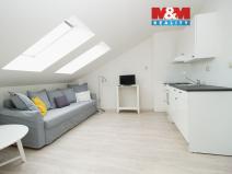 Pronájem bytu 1+kk, Opava - Město, Popská, 30 m2