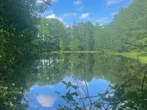 Prodej louky, Chlum u Třeboně - Žíteč, 389696 m2