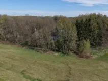 Prodej lesa, Chlum u Třeboně - Žíteč, 389696 m2