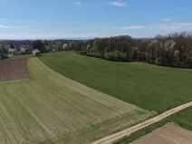Prodej lesa, Chlum u Třeboně - Žíteč, 360000 m2
