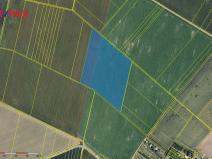 Prodej podílu 2/3 pole, Těšetice, 172887 m2