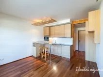 Pronájem bytu 1+kk, Praha - Vysočany, Podnádražní, 22 m2