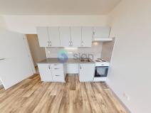 Pronájem bytu 1+kk, Ostrava - Dubina, Jana Maluchy, 32 m2