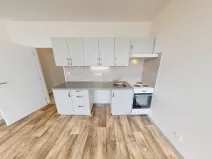 Pronájem bytu 1+kk, Ostrava - Dubina, Jana Maluchy, 32 m2