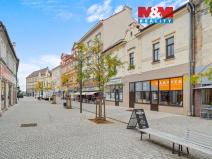 Prodej rodinného domu, Kladno, T. G. Masaryka, 305 m2