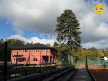 Pronájem bytu 2+1, Frýdlant nad Ostravicí, Sportovní, 52 m2