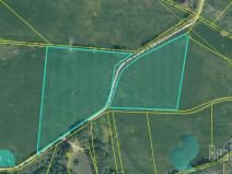 Prodej podílu 1/4 louky, Drmoul, 12559 m2