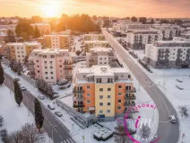 Prodej obchodního prostoru, Jihlava - Horní Kosov, Buková, 242 m2