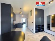 Pronájem bytu 1+1, Ostrava - Moravská Ostrava, Veleslavínova, 55 m2