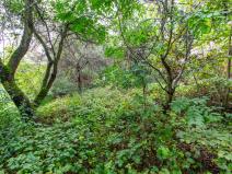 Prodej zahrady, Praha, 644 m2