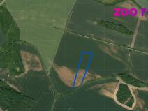 Prodej pole, Křečkov, 51997 m2