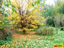 Prodej zahrady, Dyje, 387 m2