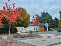 Dražba komerčního pozemku, Brno, 1782 m2