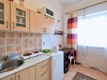 Pronájem bytu 1+kk, Brno - Staré Brno, Náplavka, 20 m2