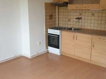 Pronájem bytu 1+kk, Novosedlice, Drahénská, 30 m2