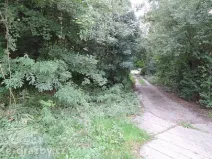 Dražba lesa, Kladno, 2465 m2