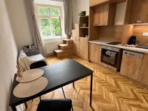 Pronájem bytu 1+kk, Praha - Nusle, Jaromírova, 18 m2