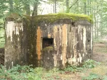 Prodej - jiné, Dubá, 22 m2