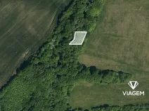 Prodej lesa, Zlámanec, 663 m2