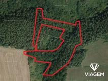 Prodej podílu lesa, Chlum, 2803 m2