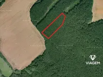 Prodej podílu lesa, Slatiny, 2288 m2