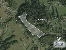 Prodej lesa, Bystřice, 29204 m2