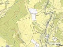 Prodej podílu lesa, Zlatá Olešnice, 569 m2