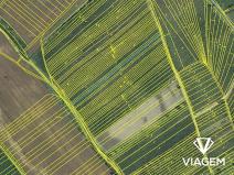 Prodej podílu pole, Dolní Bojanovice, 439 m2