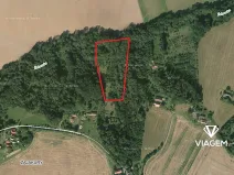 Prodej podílu lesa, Sobotka, 2241 m2