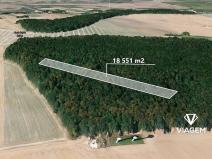 Prodej lesa, Hněvošice, 18551 m2
