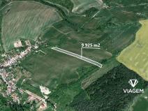 Prodej podílu pole, Zdounky, 992 m2