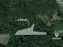 Prodej podílu lesa, Dašice, 3483 m2