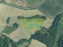 Prodej louky, Mohelnice, 17050 m2