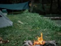 Prodej podílu lesa, Stříbrná Skalice, 2040 m2