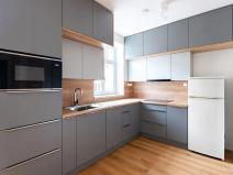 Pronájem bytu 2+kk, Praha - Žižkov, Tachovské náměstí, 50 m2