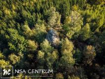 Prodej lesa, Šimonovice, 30343 m2