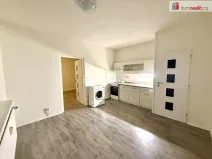 Pronájem bytu 1+1, Jílové - Martiněves, E. Krásnohorské, 36 m2