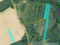 Prodej pozemku, Strážov, 32000 m2