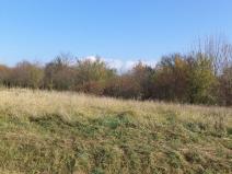 Prodej zahrady, Otrokovice, 503 m2