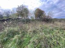 Prodej pozemku, Javorník - Horní Hoštice, 1651 m2