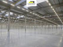 Pronájem skladu, Hladké Životice, Kujavská, 29000 m2