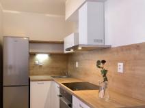 Pronájem bytu 1+kk, Brno, Gajdošova, 46 m2