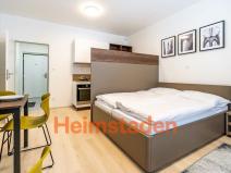 Pronájem bytu 1+kk, Plzeň - Jižní Předměstí, Magisterská, 30 m2