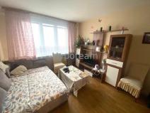 Pronájem bytu 1+kk, Ústí nad Labem - Severní Terasa, Větrná, 19 m2