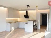 Pronájem bytu 1+kk, Ostrava, F. X. Riepla, 44 m2