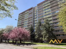 Prodej bytu 4+kk, Hradec Králové - Pražské Předměstí, Jungmannova, 90 m2