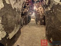 Pronájem vinného sklepa, Nový Šaldorf-Sedlešovice - Nový Šaldorf, 310 m2